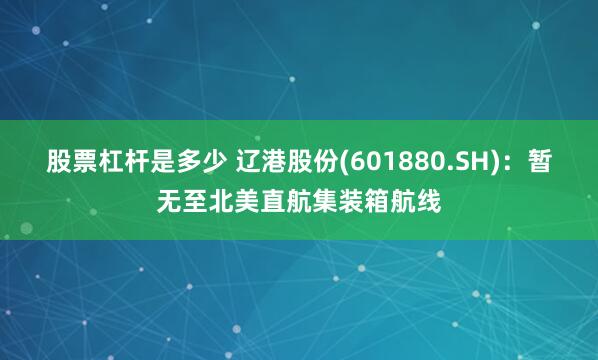 股票杠杆是多少 辽港股份(601880.SH)：暂无至北美直航集装箱航线