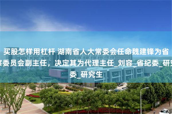买股怎样用杠杆 湖南省人大常委会任命魏建锋为省监察委员会副主任，决定其为代理主任_刘容_省纪委_研究生