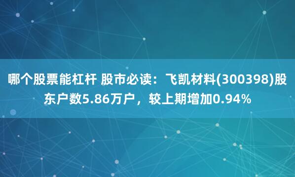 哪个股票能杠杆 股市必读：飞凯材料(300398)股东户数5.86万户，较上期增加0.94%